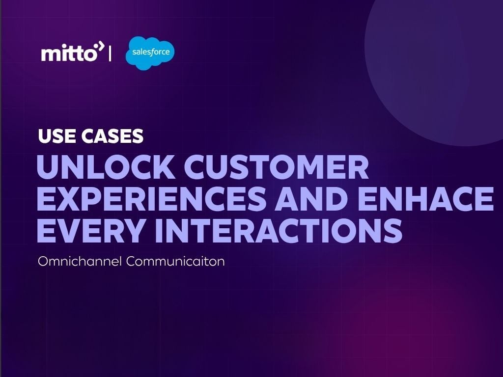 Mitto Number Insight DEMO VIDEO (10)
