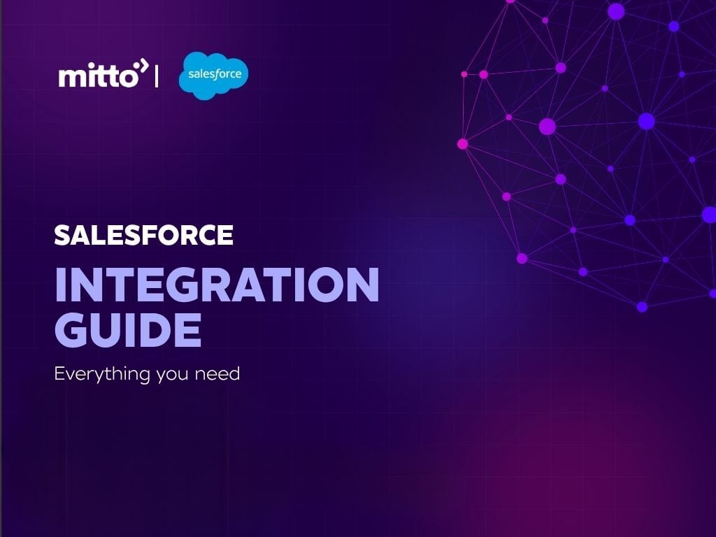 Mitto Number Insight DEMO VIDEO (11)