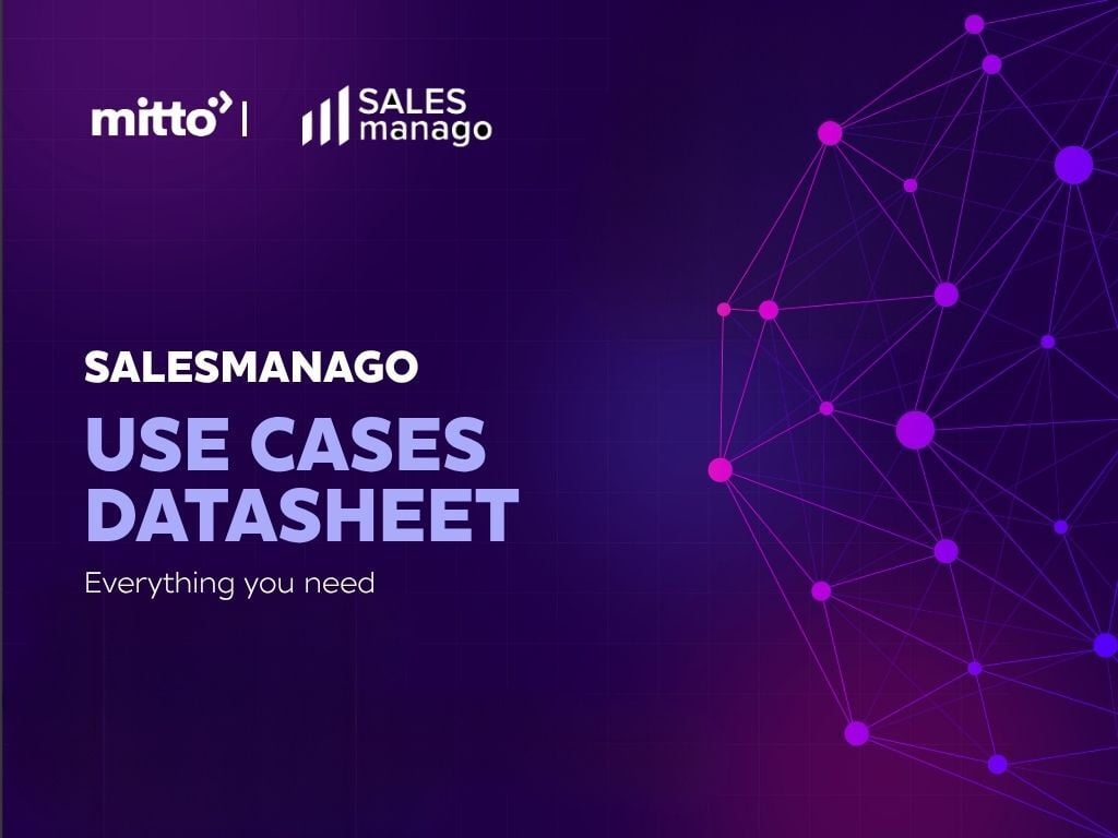 Mitto Number Insight DEMO VIDEO (13)