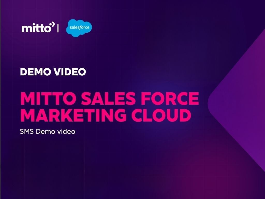 Mitto Number Insight DEMO VIDEO (9)